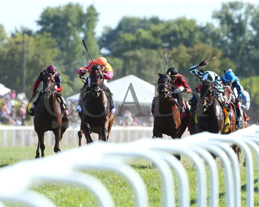 Totally Boss - Runhappy Turf Sprint G3 21St Running 09-07-19 R07 Kd Head On 01 Kentucky Downs