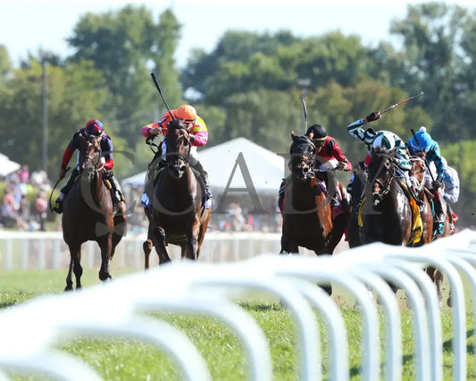 Totally Boss - Runhappy Turf Sprint G3 21St Running 09-07-19 R07 Kd Head On 01 Kentucky Downs