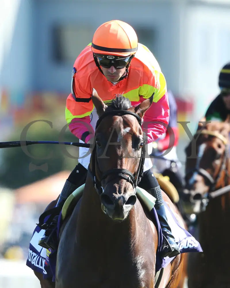 Totally Boss - Runhappy Turf Sprint G3 21St Running 09-07-19 R07 Kd Head On 02 Kentucky Downs