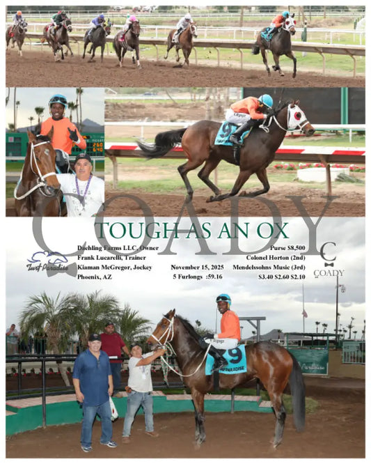 TOUGH AS AN OX - 11-15-25 - R06 - TUP Turf Paradise