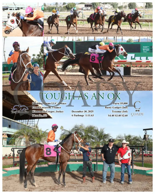 TOUGH AS AN OX - 12-30-25 - R03 - TUP - Coady Media - Kurtis Coady Photography