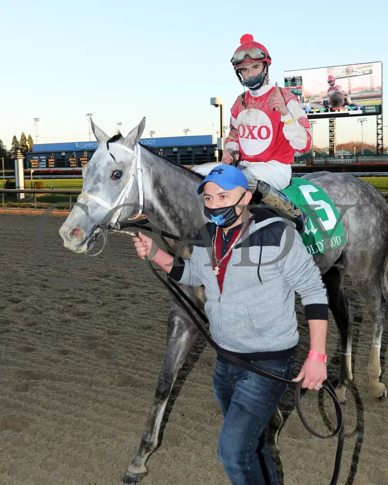 Travel Column - The Golden Rod G2 77Th Running 11-28-20 R09 Cd Come Back 01 Churchill Downs