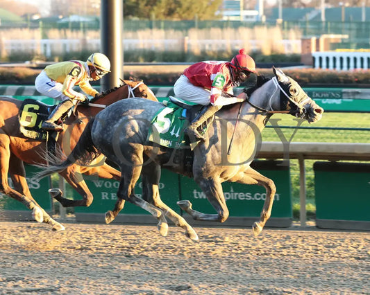 Travel Column - The Golden Rod G2 77Th Running 11-28-20 R09 Cd Finish 01 Churchill Downs