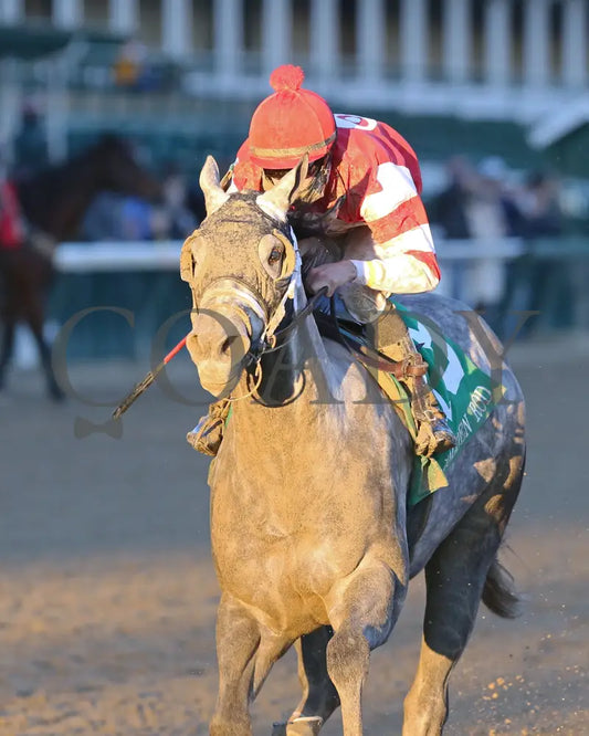 Travel Column - The Golden Rod G2 77Th Running 11-28-20 R09 Cd Inside Finish 01 Churchill Downs