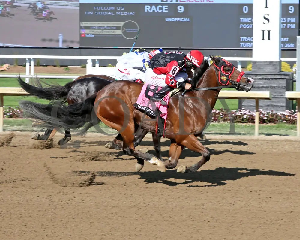 Tres Of Blood - Horseshoe Indianapolis Qhrai Derby Final 06-20-24 R09 Indiana Finish 01 Sammantha