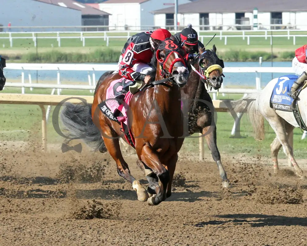 Tres Of Blood - Horseshoe Indianapolis Qhrai Derby Final 06-20-24 R09 Indiana Finish 02 Ronald