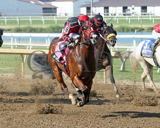 Tres Of Blood - Horseshoe Indianapolis Qhrai Derby Final 06-20-24 R09 Indiana Finish 02 Ronald