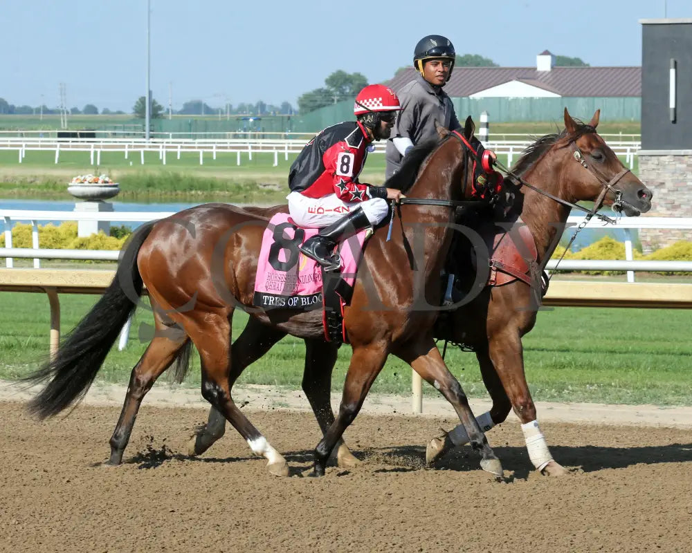 Tres Of Blood - Horseshoe Indianapolis Qhrai Derby Final 06-20-24 R09 Indiana Post Parade 01