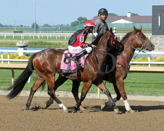 Tres Of Blood - Horseshoe Indianapolis Qhrai Derby Final 06-20-24 R09 Indiana Post Parade 01