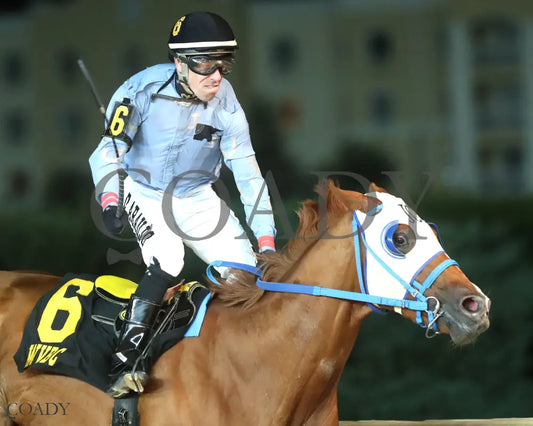 TRICKS R FOR JUBA - 101125 - Race 04 - CT West Virginia Vincent Moscarelli Memorial Breeders Classics - Celebration 01