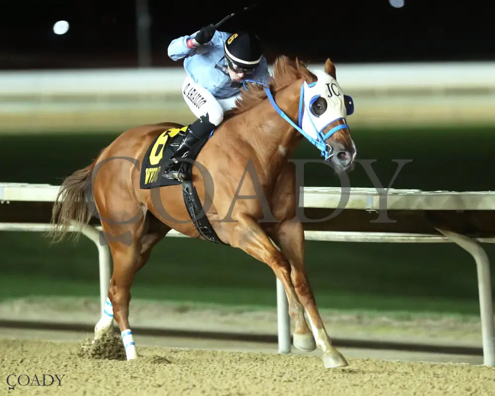 TRICKS R FOR JUBA - 101125 - Race 04 - CT West Virginia Vincent Moscarelli Memorial Breeders Classics - Finish 02