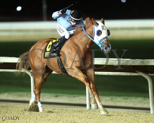 TRICKS R FOR JUBA - 101125 - Race 04 - CT West Virginia Vincent Moscarelli Memorial Breeders Classics - Finish 02