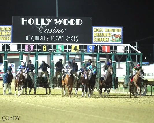 TRICKS R FOR JUBA - 101125 - Race 04 - CT West Virginia Vincent Moscarelli Memorial Breeders Classics - Start 01