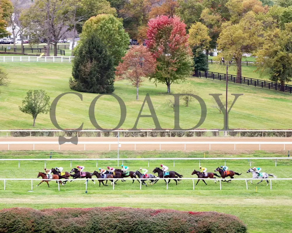 TROUBLESHOOTING - 102525 - Race 08 - KEE - Aerial Back Stretch 02 Keeneland