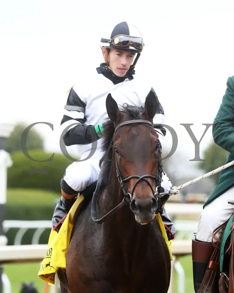 TROUBLESHOOTING - 102525 - Race 08 - KEE - Come Back 02 Keeneland