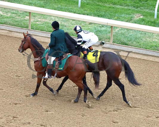 TROUBLESHOOTING - 102525 - Race 08 - KEE - Come Back 07 Keeneland