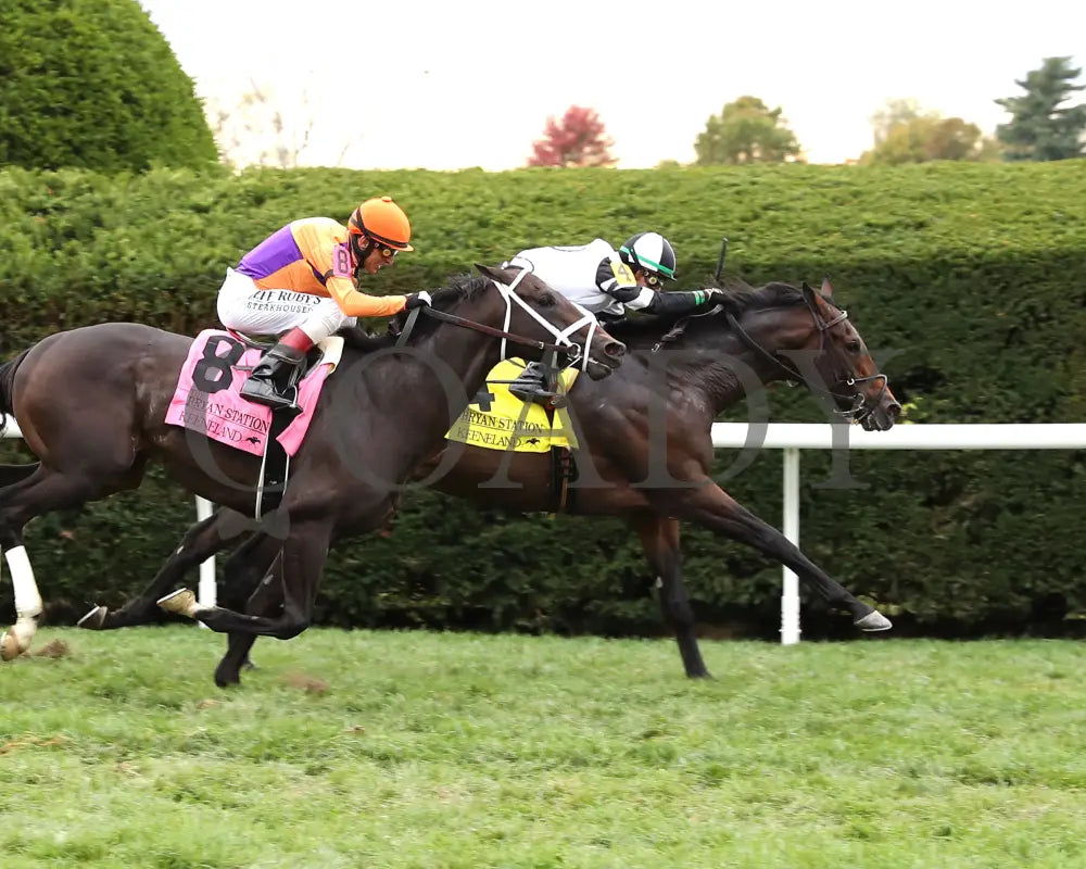 TROUBLESHOOTING - 102525 - Race 08 - KEE - Finish 01 Keeneland