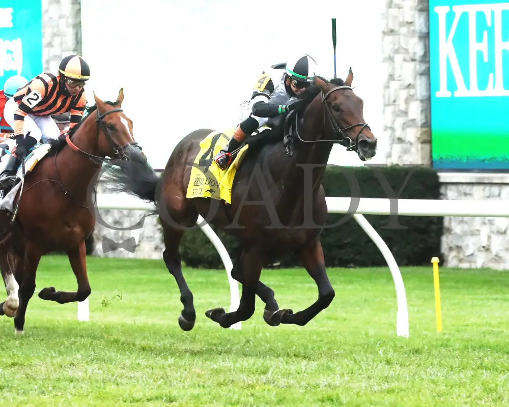 TROUBLESHOOTING - 102525 - Race 08 - KEE - Finish 02 Keeneland