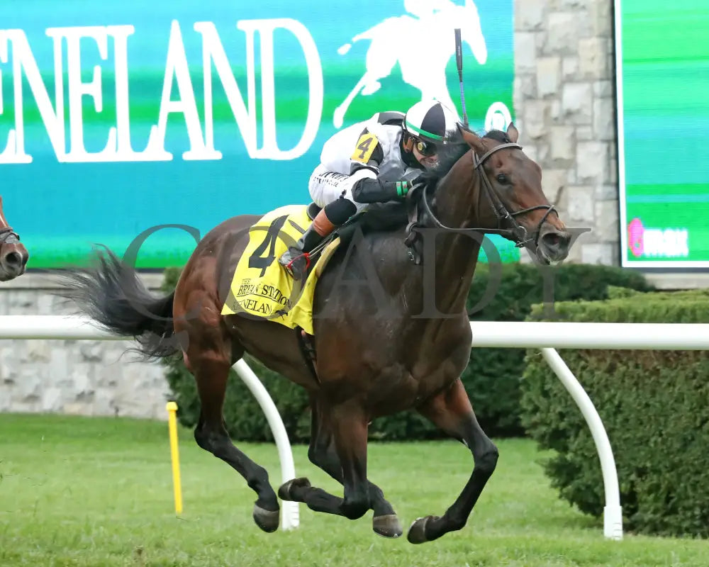 TROUBLESHOOTING - 102525 - Race 08 - KEE - Finish 03 Keeneland