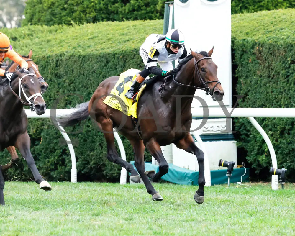 TROUBLESHOOTING - 102525 - Race 08 - KEE - Finish 04 Keeneland