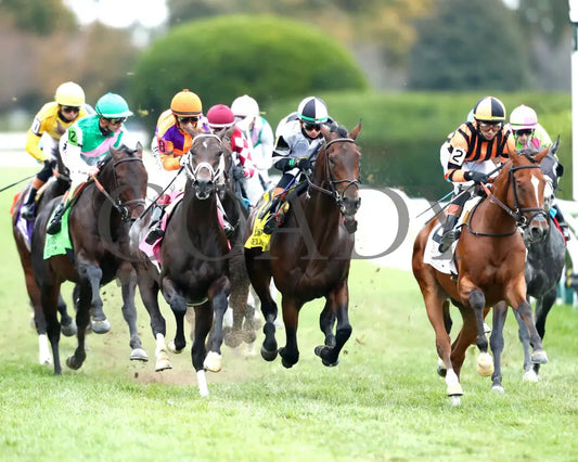 TROUBLESHOOTING - 102525 - Race 08 - KEE - First Turn 02 Keeneland