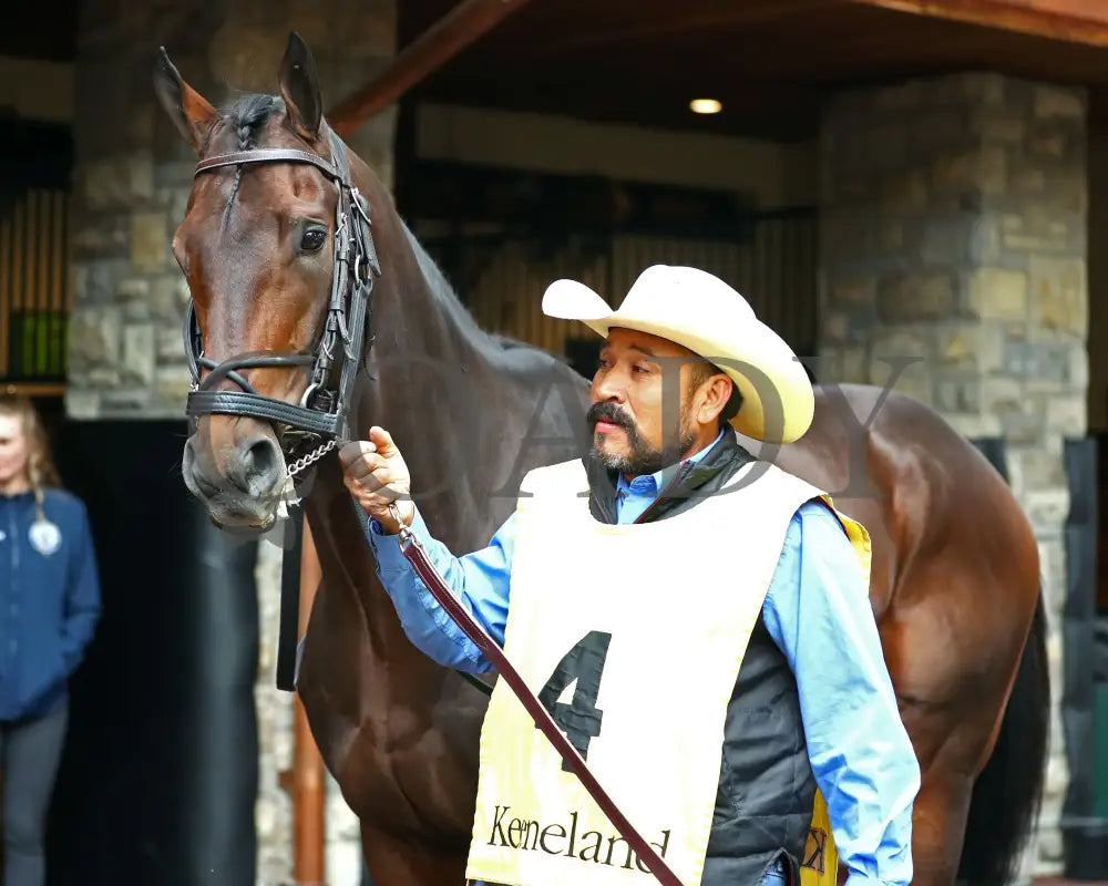 TROUBLESHOOTING - 102525 - Race 08 - KEE - Paddock 02 Keeneland