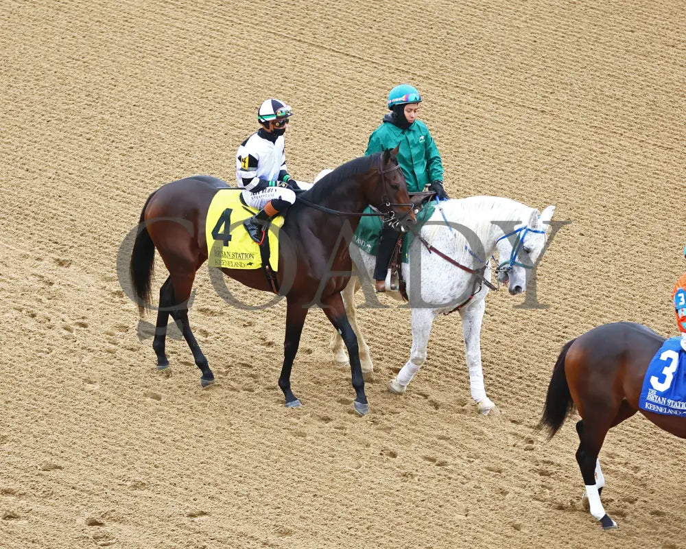 TROUBLESHOOTING - 102525 - Race 08 - KEE - Post Parade 03 Keeneland