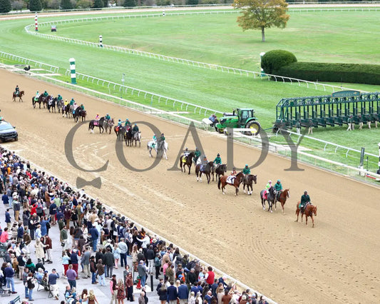 TROUBLESHOOTING - 102525 - Race 08 - KEE - Post Parade 04 Keeneland