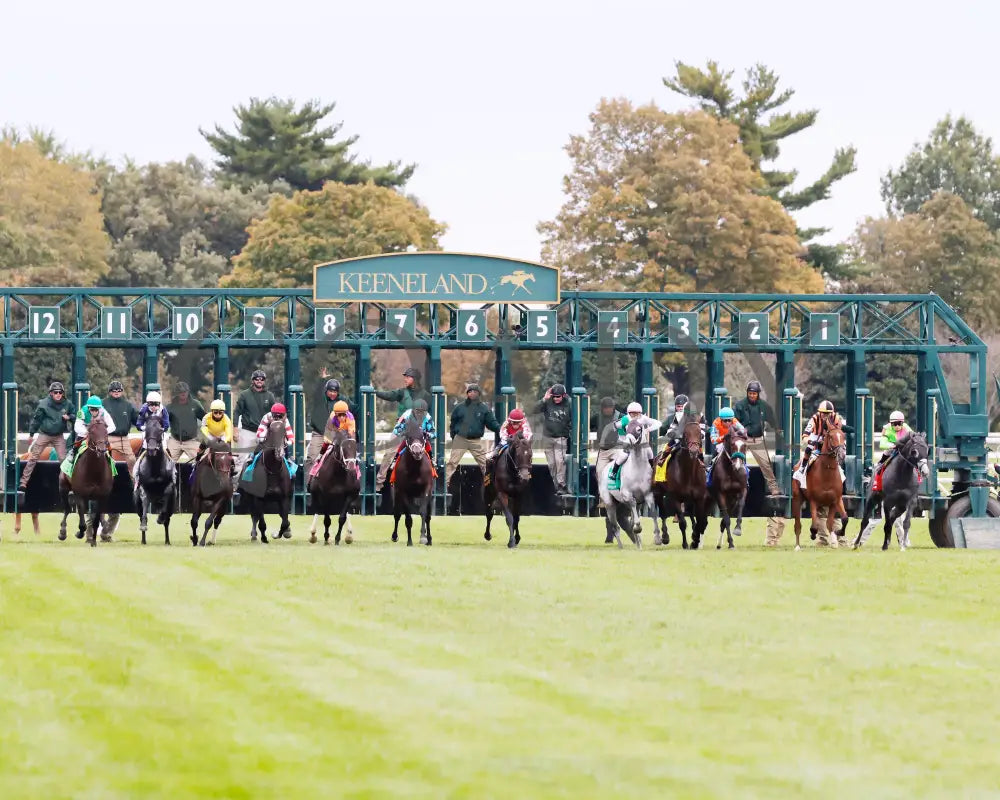 TROUBLESHOOTING - 102525 - Race 08 - KEE - Start 01 Keeneland