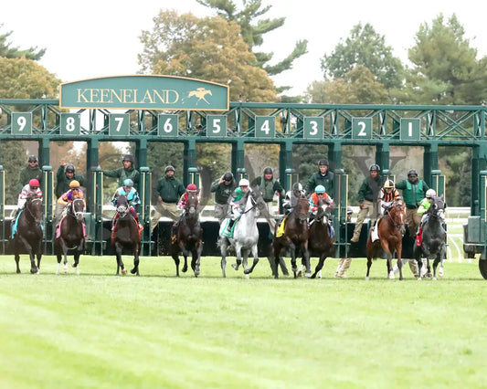 TROUBLESHOOTING - 102525 - Race 08 - KEE - Start 02 Keeneland