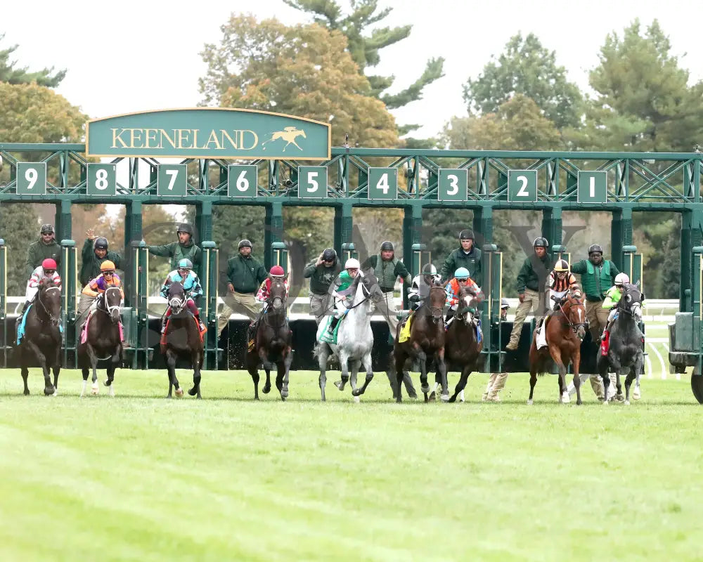 TROUBLESHOOTING - 102525 - Race 08 - KEE - Start 02 Keeneland