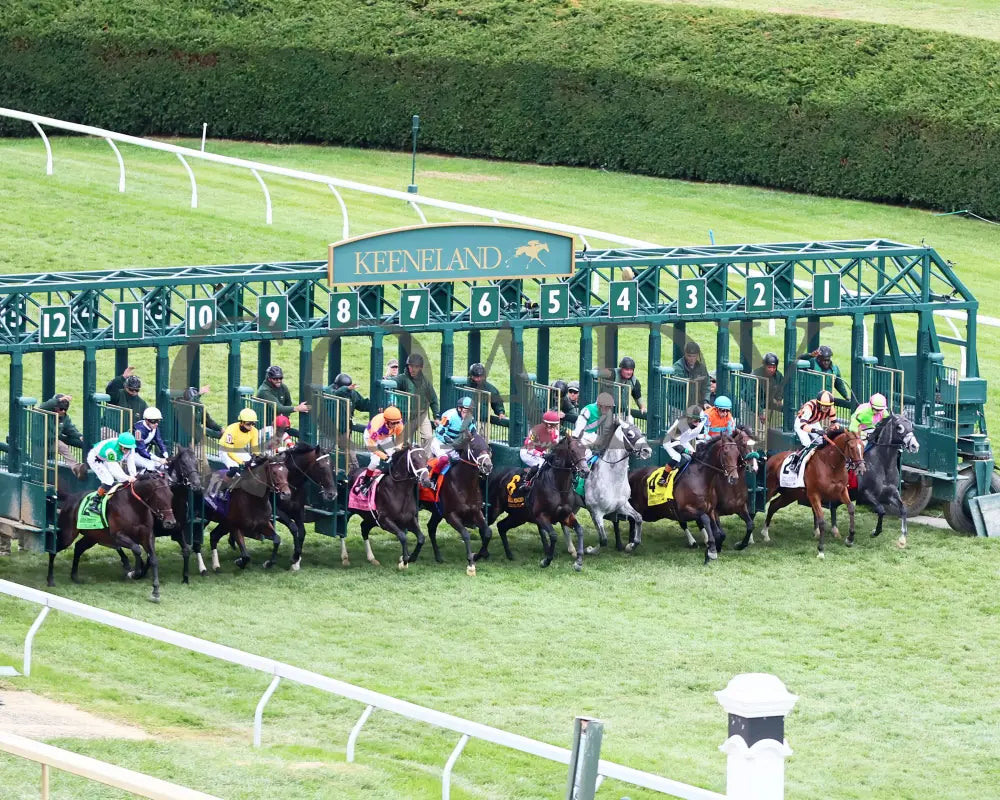 TROUBLESHOOTING - 102525 - Race 08 - KEE - Start 03 Keeneland