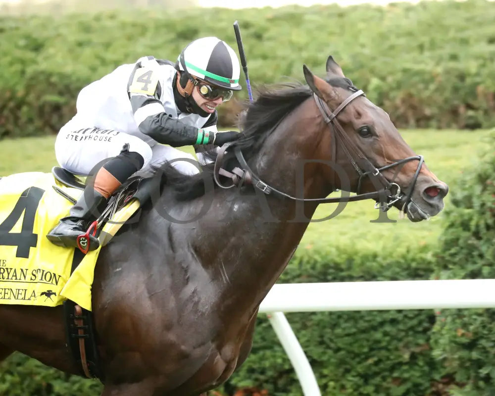 TROUBLESHOOTING - 102525 - Race 08 - KEE - Tight Finish 01 Keeneland