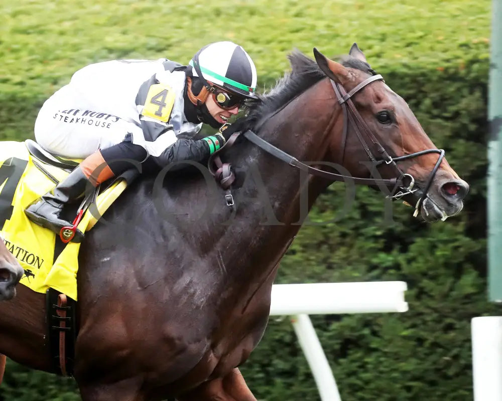 TROUBLESHOOTING - 102525 - Race 08 - KEE - Tight Finish 02 Keeneland