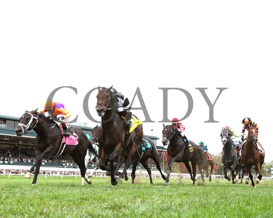 TROUBLESHOOTING - 102525 - Race 08 - KEE - Under Rail 01 Keeneland