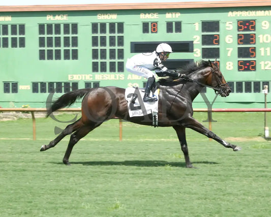 TROUBLESHOOTING - The Dade Park Dash - 07-04-25 - R08 - ELP - Finish 01 Ellis Park