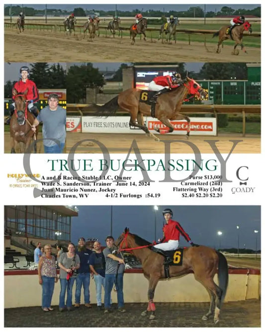 True Buckpassing - 06-14-24 R03 Ct Hollywood Casino At Charles Town Races