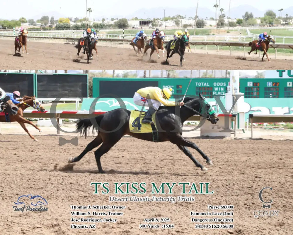 TS KISS MY TAIL - Desert Classic Futurity Trials - 04-08-25 - R04 - TUP Turf Paradise