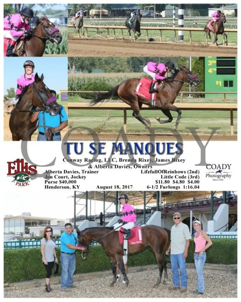 Tu Se Manques - 081817 Race 08 Elp Ellis Park