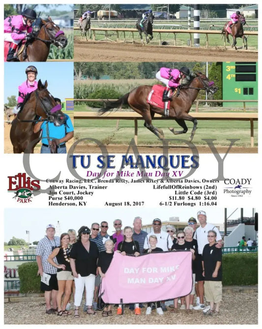 Tu Se Manques - 081817 Race 08 Elp G Ellis Park