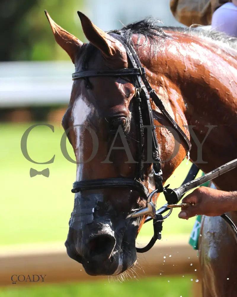 TUMBARUMBA - The Ack Ack G3 - 33rd Running - 09-27-25 - R08 - CD - Come Back 03 Churchill Downs