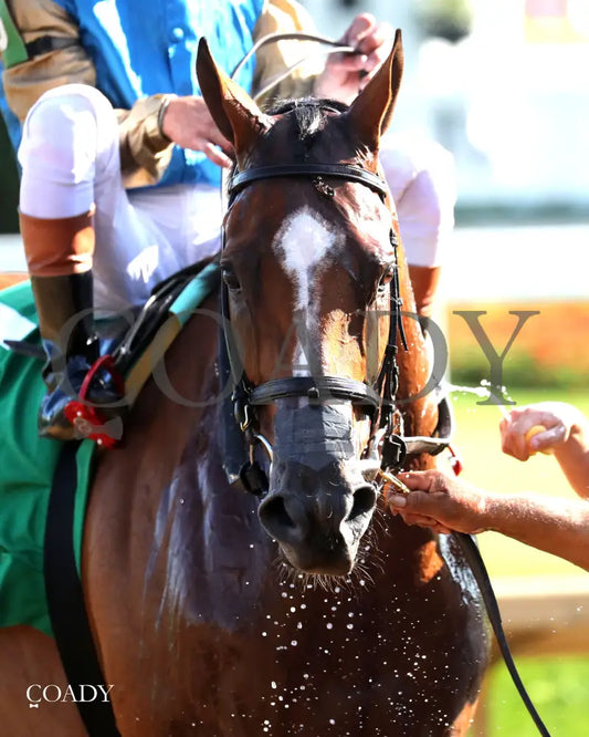 TUMBARUMBA - The Ack Ack G3 - 33rd Running - 09-27-25 - R08 - CD - Come Back 04 Churchill Downs
