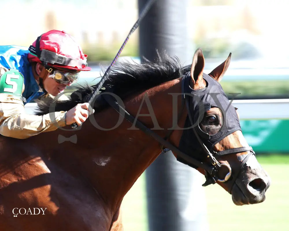 TUMBARUMBA - The Ack Ack G3 - 33rd Running - 09-27-25 - R08 - CD - Finish 02 Churchill Downs