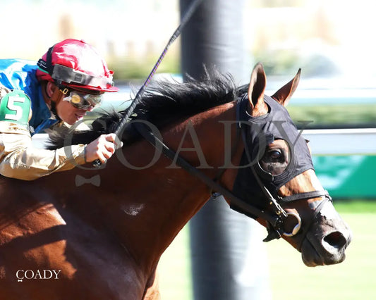 TUMBARUMBA - The Ack Ack G3 - 33rd Running - 09-27-25 - R08 - CD - Finish 02 Churchill Downs