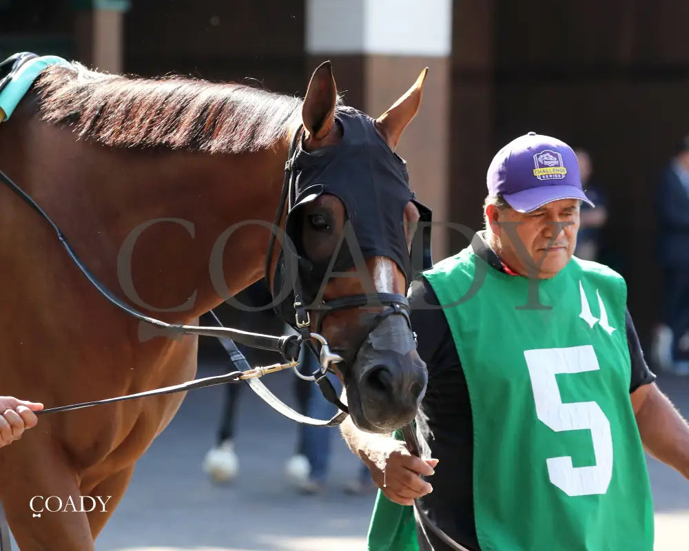 TUMBARUMBA - The Ack Ack G3 - 33rd Running - 09-27-25 - R08 - CD - Paddock 01 Churchill Downs