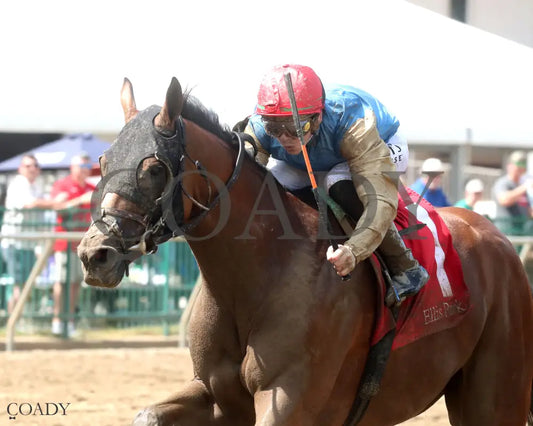 TUMBARUMBA - The R.A. ’Cowboy’ Jones - 08-10-25 - R07 - ELP - Inside Finish 01 Ellis Park
