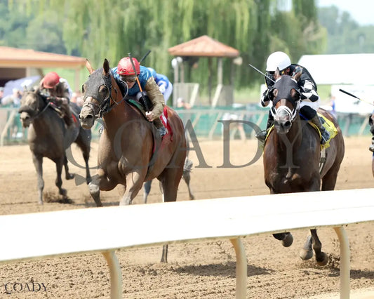 TUMBARUMBA - The R.A. ’Cowboy’ Jones - 08-10-25 - R07 - ELP - Inside Finish 02 Ellis Park