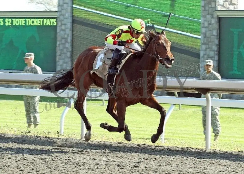 Turbulent Descent - Finish The 26Th Running Of T Keeneland