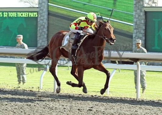 Turbulent Descent - Finish The 26Th Running Of T Keeneland