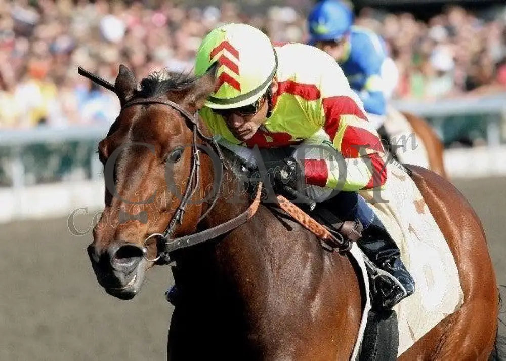 Turbulent Descent - Inside Finish The 26Th Runn Keeneland